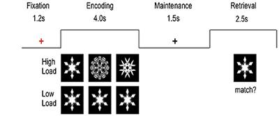 Filipino Multicomponent Intervention to Maintain Cognitive Performance in High-Risk Population (FINOMAIN): Study Protocol for a Cluster Randomized Controlled Trial